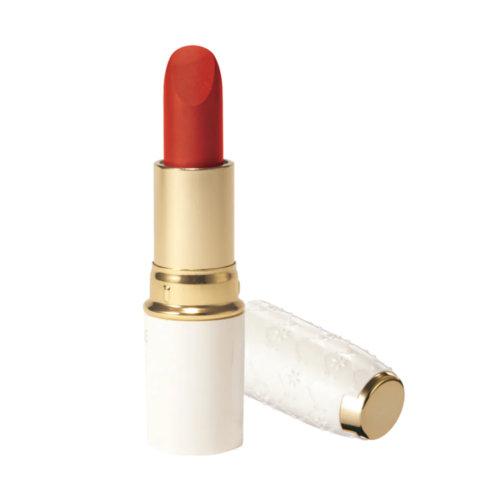 CEZANNE Lasting Lip Color #N407 Red Brick 3.9 g 4939553041108 | eBay