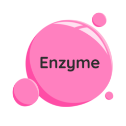 Enzyme