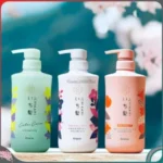 Dầu gội xả Ichikami Kracie chai 480ml mẫu mới 2023 (túi nylon set 2) - Ảnh 3