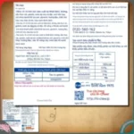 Kẹo Morinaga hoa quả 4 vị gói 94g - Hàng nhập nội địa Nhật Bản - Ảnh 6