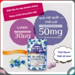 Viên nhai Orihiro bổ sung blueberry và lutein dạng túi 120 viên - Ảnh 4
