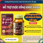 Viên uống hỗ trợ điều trị tai biến đột quỵ Orihiro Natto Kinase 2000FU 60 viên - Ảnh 3