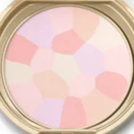 Phấn phủ Canmake Marshmallow Finish Powder Abloom SPF19 PA++ (2 màu)