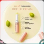 Son dưỡng môi DHC lip cream thỏi 1.5g - Ảnh 3