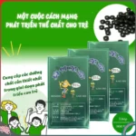 Tảo tăng chiều cao cho bé SHINSHIN Kakumei 300 viên - Ảnh 4