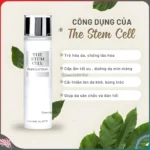 Nước hoa hồng NMN White Skin Lotion dưỡng trắng, cải thiện nếp nhăn, lão hóa chai 500ml - Ảnh 3