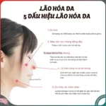 Viên uống trắng da Genkifami Shirohada hộp 90 viên - Ảnh 2
