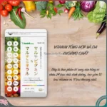 Seedcoms Viên Uống Bổ Sung Multi Vitamin Và Khoáng Chất 30 viên (30 ngày) - Ảnh 2