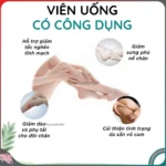 Viên Hỗ Trợ Giảm Mỡ Thon Gọn Chân Surakyuto - Ảnh 2