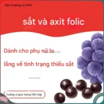 Kẹo dẻo bổ sung Sắt & Axit Folic cung cấp 10 ngày (20 Viên) - Ảnh 3