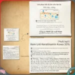 Kem trị á sừng Kowa Keratinamine 20% viêm da cơ địa, vảy nến - Ảnh 4