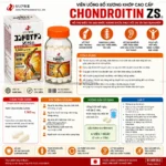 Viên uống bổ xương khớp ZS Chondroitin hộp 270 viên