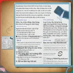 Cốm ngậm tan đờm giảm đau họng viêm họng Ryukakusan Direct Stick 16 gói (2 vị) - Ảnh 2