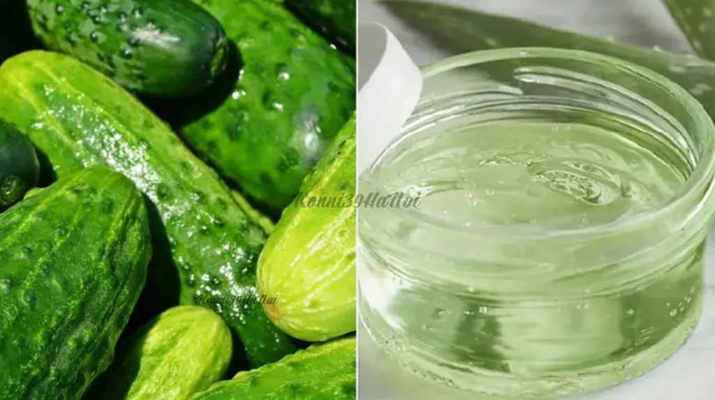 Dưa chuột và nha đam chứa nhiều vitamin có khả năng cấp ẩm tốt, giúp trị môi khô nứt nẻ chỉ trong 1 đêm.