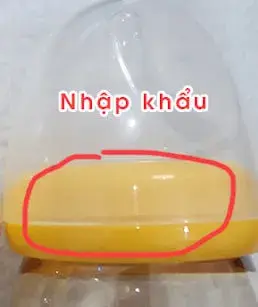 4vtu1agb96 Cổ bình Pigeon nhập khẩu có màu vàng đậm