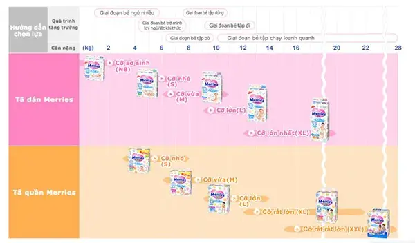 Bảng hướng dẫn cách chọn size bỉm Merries cho bé