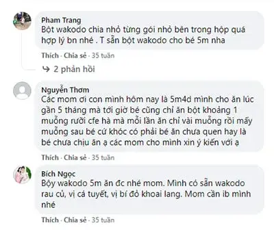 Dưới bài đăng mẹ Pham Trang, mẹ Bích Ngọc gợi ý mẹ Lyly nên dùng bột ăn dặm Wakodo. Các mẹ review về bột ăn dặm Wakodo.