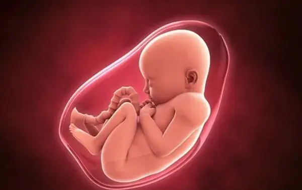 Uống sữa bầu Morinaga là cách hiệu quả giúp mẹ cung cấp đủ lượng axit folic cần thiết cho bé lớn khôn. Bé phát triển toàn diện do thành phần sữa bầu Morinaga đủ dinh dưỡng