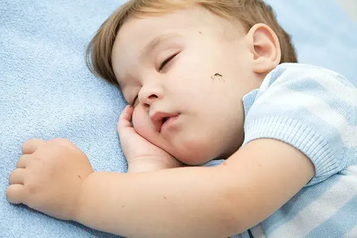 Top 5 máy đuổi muỗi Nhật Bản bảo vệ cả gia đình hiệu quả, an toàn