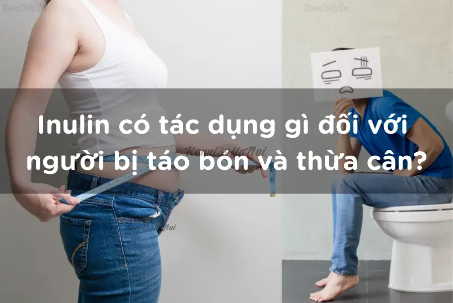 Inulin và lợi ích đối với người táo bón, thừa cân