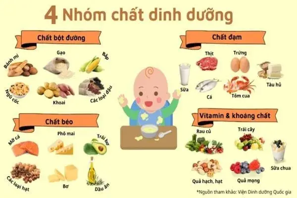 Bốn nhóm dưỡng chất cần có trong thực đơn ăn dặm bé 6 tháng