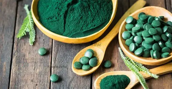 Tảo Spirulina là gì? 9 Lợi ích tuyệt vời bạn không nên bỏ qua
