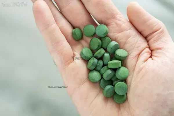 Tảo xoắn Nhật 1500 viên | Phân loại kèm địa chỉ mua giá tốt