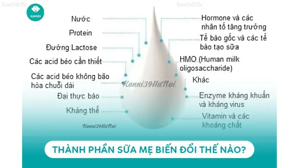 Sữa mẹ chứa nhiều kháng thể, tế bào bạch cầu giúp trẻ tăng miễn dịch hiệu quả