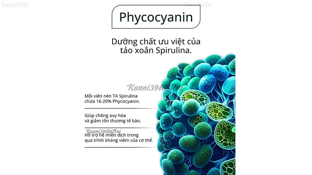 Nhờ phycocyanin, Spirulina chống oxy hóa và chống viêm hiệu quả.