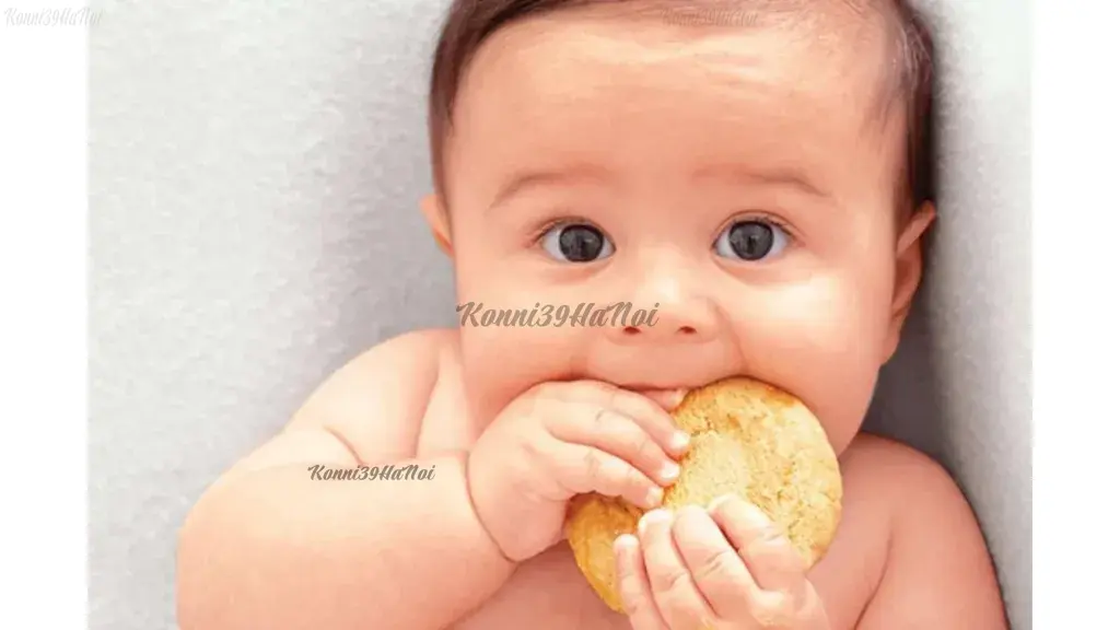 Từ 6 tháng tuổi, hệ tiêu hóa của bé mới tương đối hoàn chỉnh để sử dụng các món ăn dặm như bánh ăn dặm.