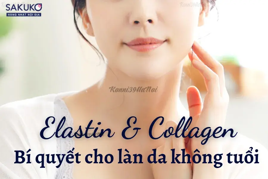 Giải đáp mọi thắc mắc về Elastin và Collagen