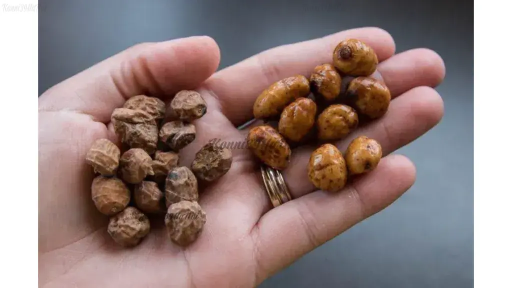 Hạt hổ (Tiger nut)