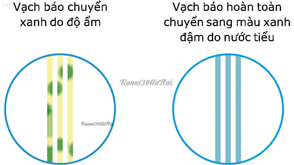 vạch báo đầy bỉm merries