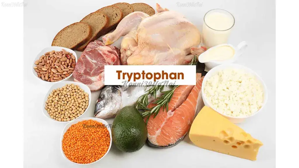 Các thực phẩm giàu Tryptophan hỗ trợ tăng cường sản xuất Serotonin