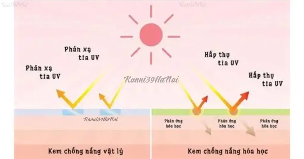 Sự khác nhau của hai loại kem chống nắng