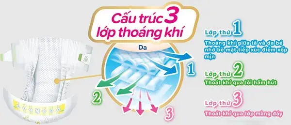 Bề mặt của Merries sơ sinh có 3 lớp thoáng khí