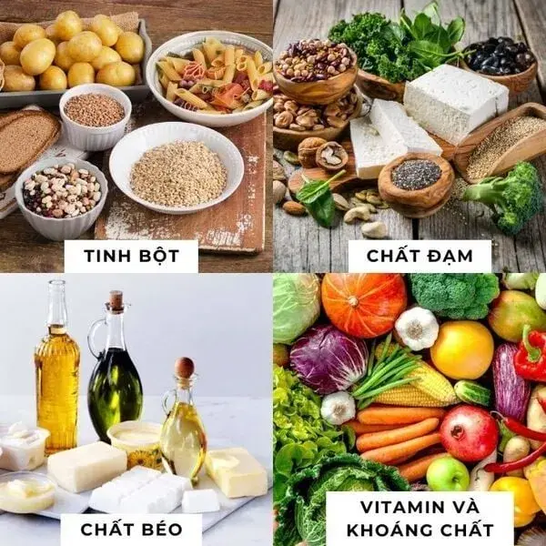 Mẹ nên cho bé ăn bột ăn dặm có đủ 4 nhóm dưỡng chất