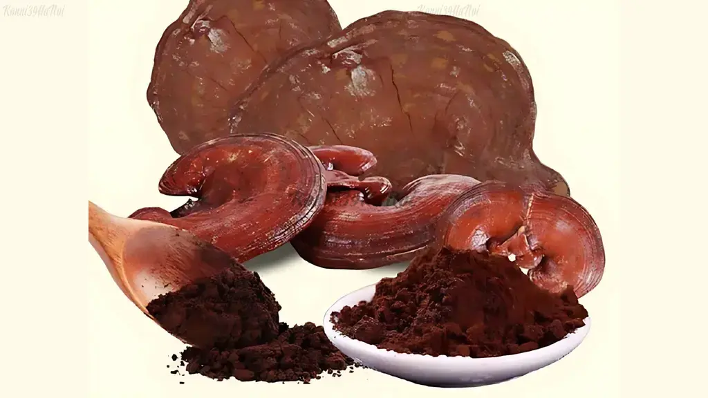 Nấm Linh Chi dạng bột