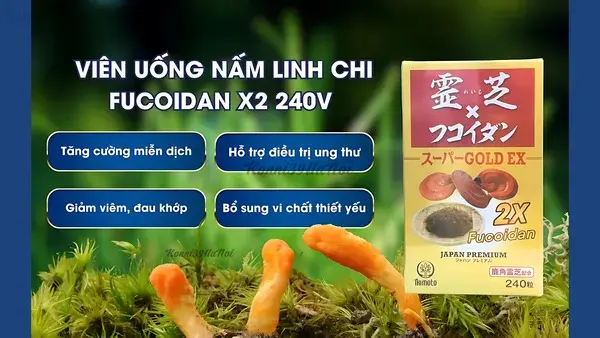 Đặc điểm nổi bật của viên uống Nấm linh chi Fucoidan x2 240 viên