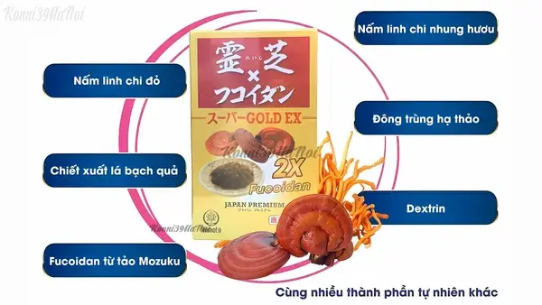 Thành phần của viên uống Nấm linh chi Fucoidan x2 240 viên