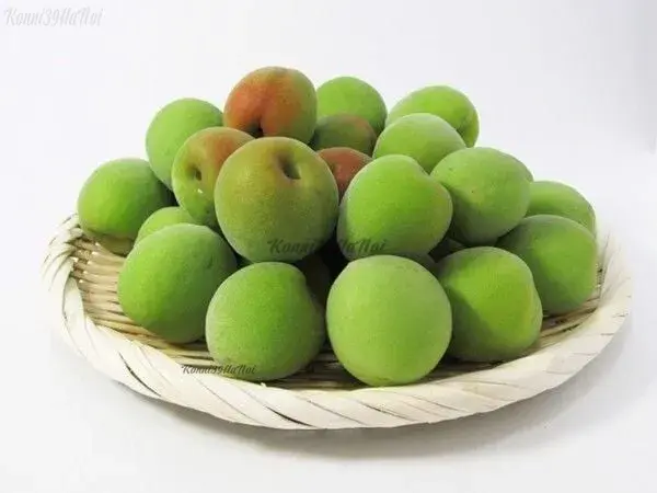 quả mơ xanh tự nhiên