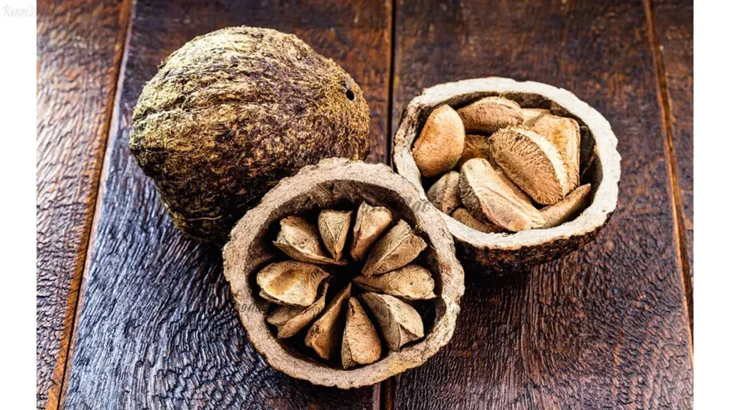 Quả hạch Brazil (Brazil Nuts)