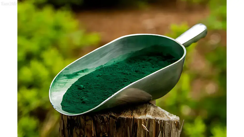 Hoạt động chống oxy hóa của tảo xoắn tác động làm giảm cholesterol và chất béo trung tính trong máu.