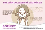 Nước uống The Collagen S Select hộp 10 chai x 50ml - Ảnh 3