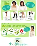 Viên uống giảm mỡ đùi DHC 20 ngày gói 40 viên - Ảnh 2