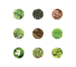 Trà thảo mộc hỗ trợ giảm cân Showa 30 gói x 3g - Ảnh 2