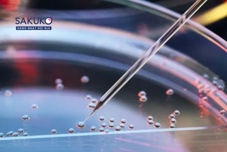 z4791127797582_774c62a94eeab8d60b4e53371a200933_be37d13771054ee792960c0de10c6eb2 Tế bào gốc và sự thật