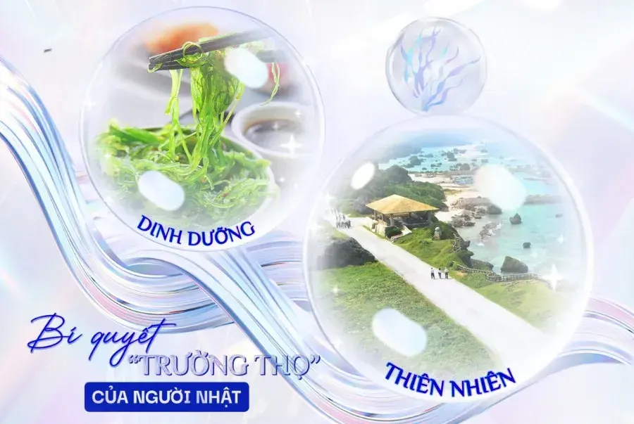 Fucoidan và bí quyết trường thọ của người Nhật Bản