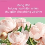 EARTH DEOSH- Xịt khử mùi nhà vệ sinh50ml - Ảnh 3