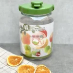 Bình ngâm bằng nhựa cao cấp có quai xách Takeya